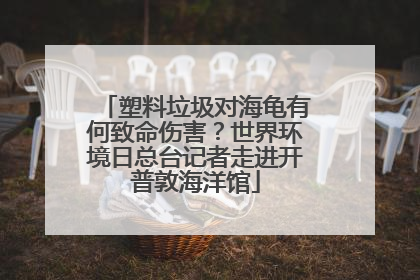 塑料垃圾对海龟有何致命伤害？世界环境日总台记者走进开普敦海洋馆