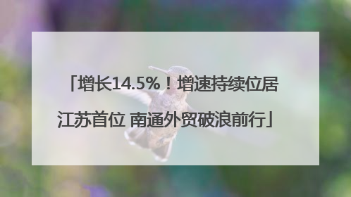 增长14.5%！增速持续位居江苏首位 南通外贸破浪前行