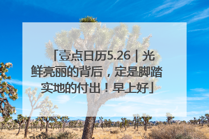 壹点日历5.26｜光鲜亮丽的背后，定是脚踏实地的付出！早上好