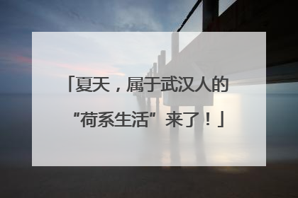 夏天，属于武汉人的“荷系生活”来了！