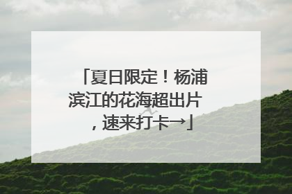 夏日限定！杨浦滨江的花海超出片，速来打卡→