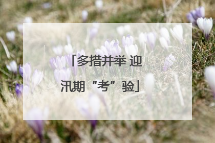 多措并举 迎汛期“考”验