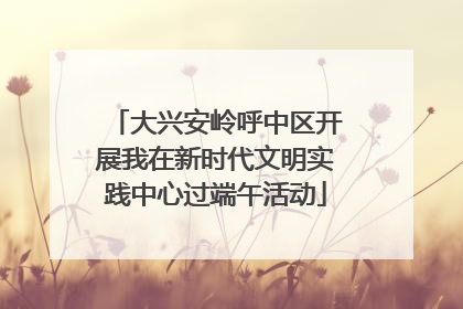 大兴安岭呼中区开展我在新时代文明实践中心过端午活动