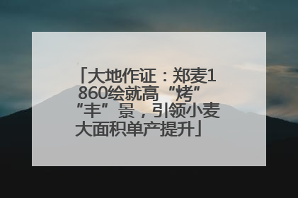 大地作证：郑麦1860绘就高“烤”“丰”景，引领小麦大面积单产提升