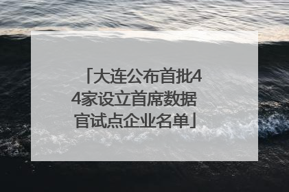 大连公布首批44家设立首席数据官试点企业名单
