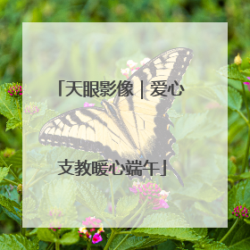 天眼影像｜爱心支教暖心端午