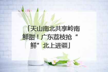 天山南北共享岭南鲜甜！广东荔枝抢“鲜”北上进疆
