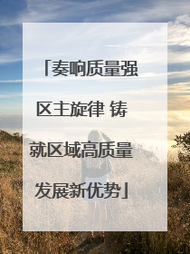 奏响质量强区主旋律 铸就区域高质量发展新优势