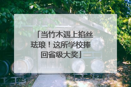 当竹木遇上掐丝珐琅！这所学校捧回省级大奖