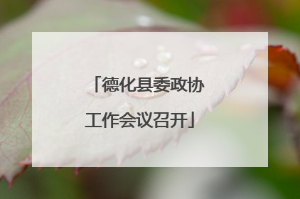 德化县委政协工作会议召开