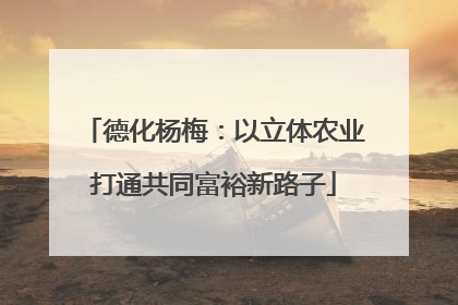 德化杨梅：以立体农业打通共同富裕新路子