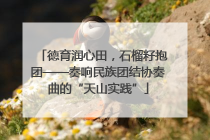 德育润心田，石榴籽抱团——奏响民族团结协奏曲的“天山实践”