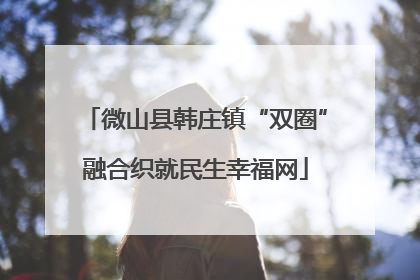 微山县韩庄镇“双圈”融合织就民生幸福网
