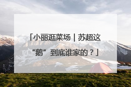 小丽逛菜场｜苏超这“鹅”到底谁家的？