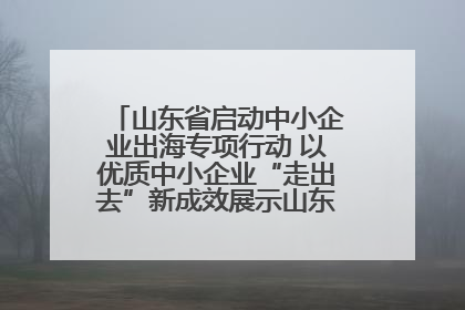 山东省启动中小企业出海专项行动 以优质中小企业“走出去”新成效展示山东产业发展新形象