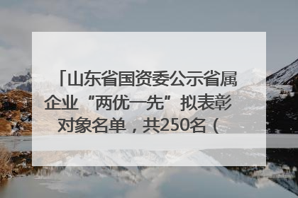 山东省国资委公示省属企业“两优一先”拟表彰对象名单，共250名（个）党员和党组织