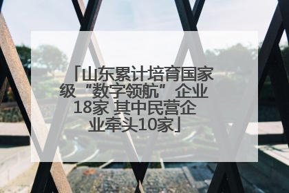 山东累计培育国家级“数字领航”企业18家 其中民营企业牵头10家