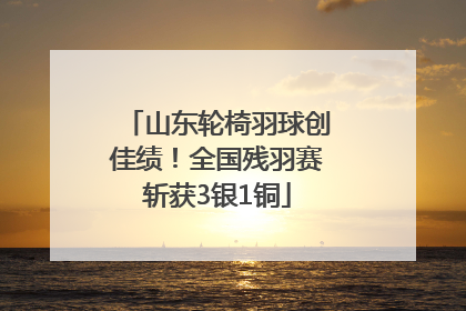 山东轮椅羽球创佳绩！全国残羽赛斩获3银1铜