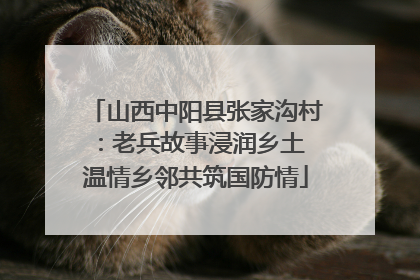 山西中阳县张家沟村：老兵故事浸润乡土 温情乡邻共筑国防情