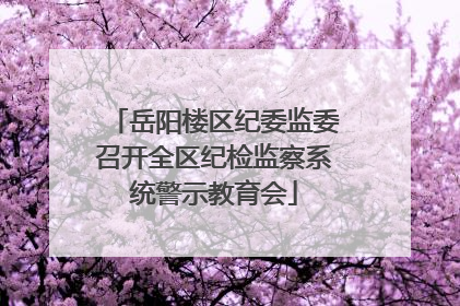 岳阳楼区纪委监委召开全区纪检监察系统警示教育会
