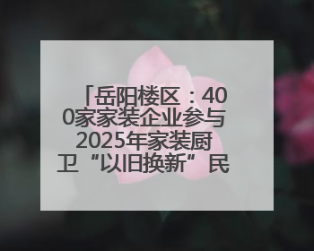 岳阳楼区：400家家装企业参与2025年家装厨卫“以旧换新”民生工程