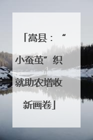 嵩县：“小蚕茧”织就助农增收新画卷