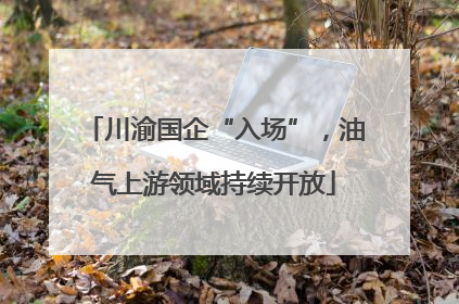 川渝国企“入场”，油气上游领域持续开放