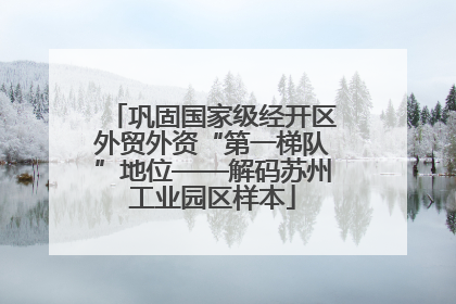 巩固国家级经开区外贸外资“第一梯队”地位——解码苏州工业园区样本