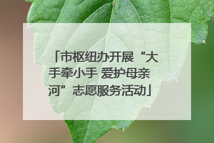市枢纽办开展“大手牵小手 爱护母亲河”志愿服务活动