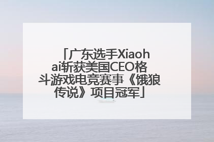 广东选手Xiaohai斩获美国CEO格斗游戏电竞赛事《饿狼传说》项目冠军