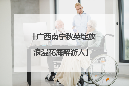 广西南宁秋英绽放 浪漫花海醉游人