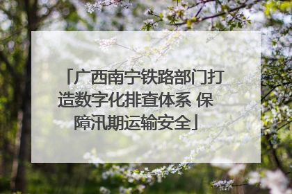 广西南宁铁路部门打造数字化排查体系 保障汛期运输安全
