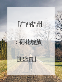 广西梧州：荷花绽放迎盛夏