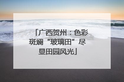广西贺州：色彩斑斓“玻璃田”尽显田园风光