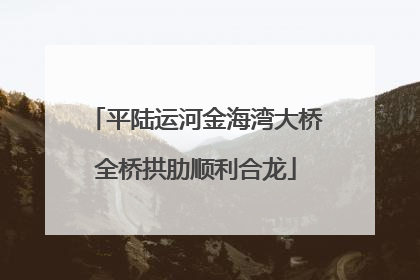 平陆运河金海湾大桥全桥拱肋顺利合龙