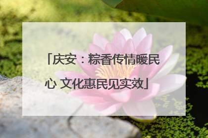 庆安：粽香传情暖民心 文化惠民见实效