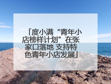 度小满“青年小店榜样计划”在张家口落地 支持特色青年小店发展