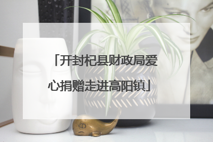 开封杞县财政局爱心捐赠走进高阳镇