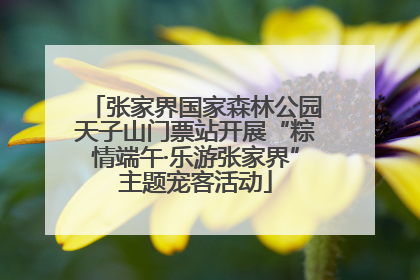 张家界国家森林公园天子山门票站开展“粽情端午·乐游张家界”主题宠客活动