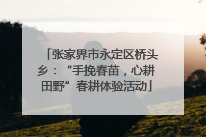 张家界市永定区桥头乡：“手挽春苗，心耕田野”春耕体验活动