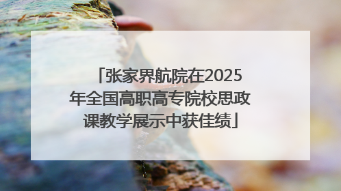 张家界航院在2025年全国高职高专院校思政课教学展示中获佳绩