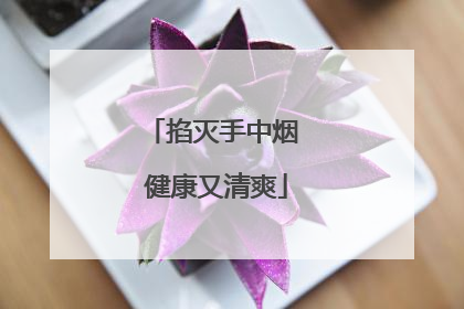 掐灭手中烟 健康又清爽