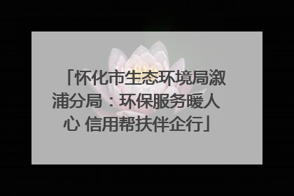 怀化市生态环境局溆浦分局：环保服务暖人心 信用帮扶伴企行