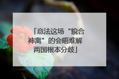 意法这场“貌合神离”的会晤难解两国根本分歧