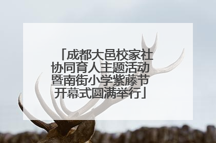 成都大邑校家社协同育人主题活动暨南街小学紫藤节开幕式圆满举行