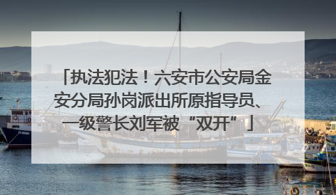 执法犯法！六安市公安局金安分局孙岗派出所原指导员、一级警长刘军被“双开”