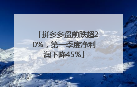 拼多多盘前跌超20%，第一季度净利润下降45%