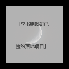 李书铭调研已签约落地项目