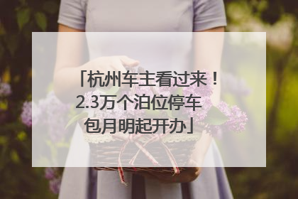 杭州车主看过来！2.3万个泊位停车包月明起开办