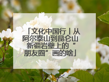 文化中国行丨从阿尔泰山到昆仑山 新疆岩壁上的“朋友圈”画的啥